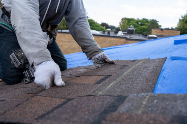 Best Flat Roof Repair Services  in Parker, AZ